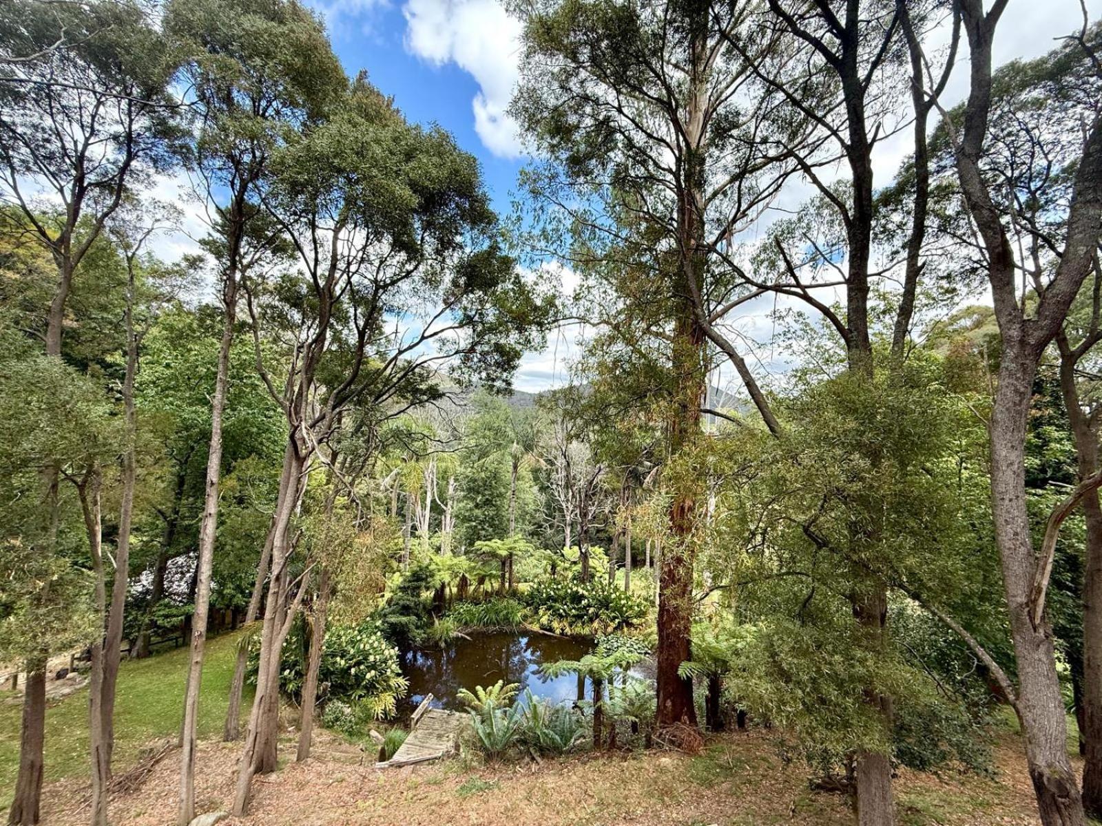 וורברטון Forget Me Not Cottages מראה חיצוני תמונה